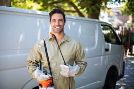 Best Termite Inspection and Treatment  in Westerville, OH